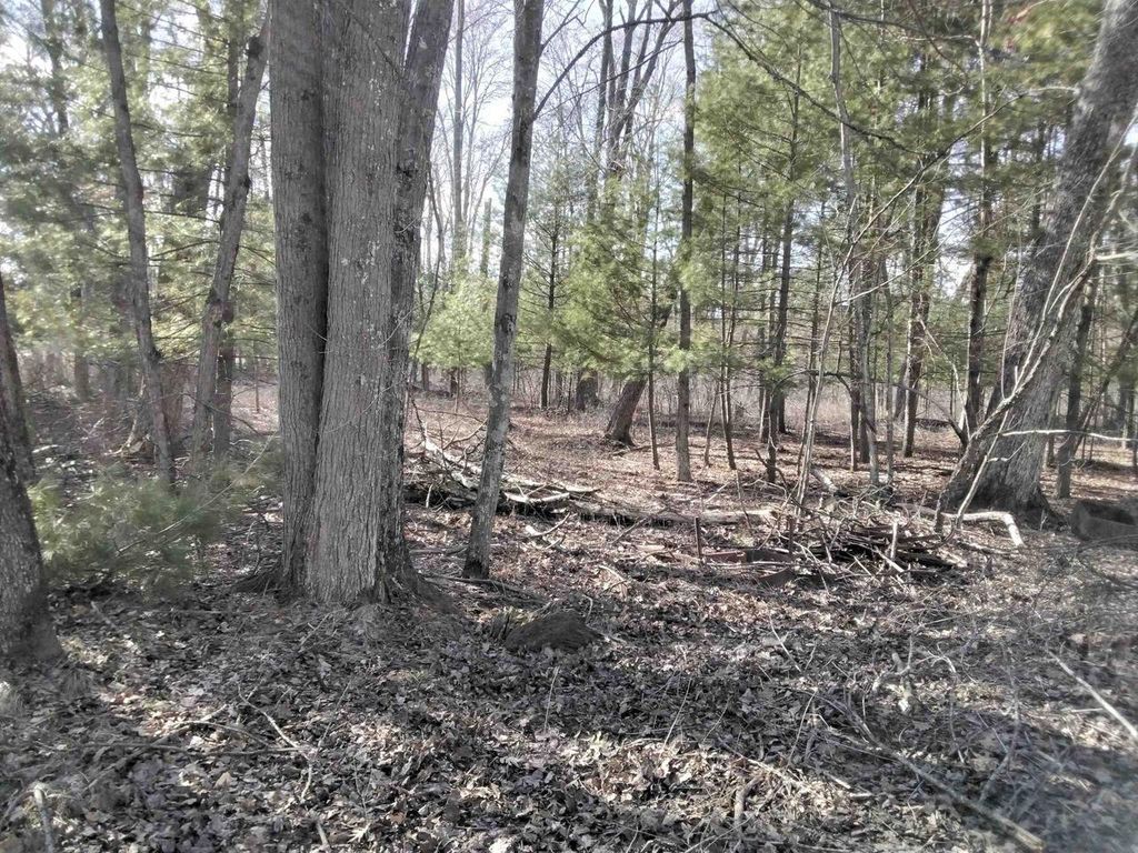 Photo of W1080 Dover ROAD, Neshkoro, WI 54960 (MLS # 2020489)