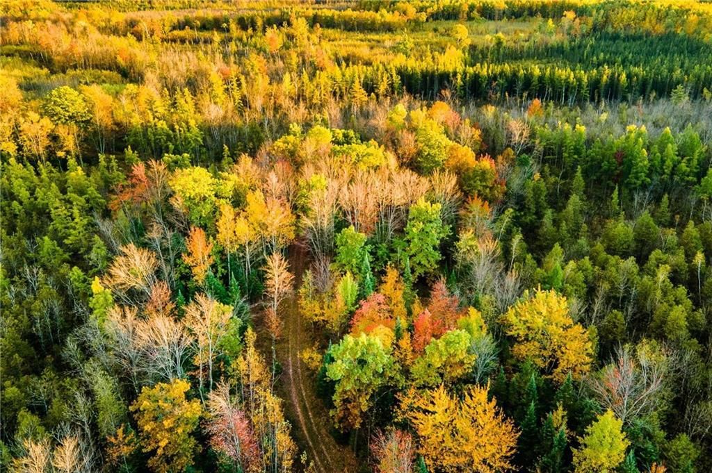 Photo of 000 Padre, Wittenberg, WI 54499 (MLS # 1596245)