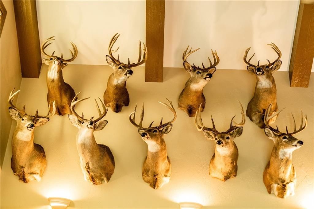 Photo of 000 Padre, Wittenberg, WI 54499 (MLS # 1596245)