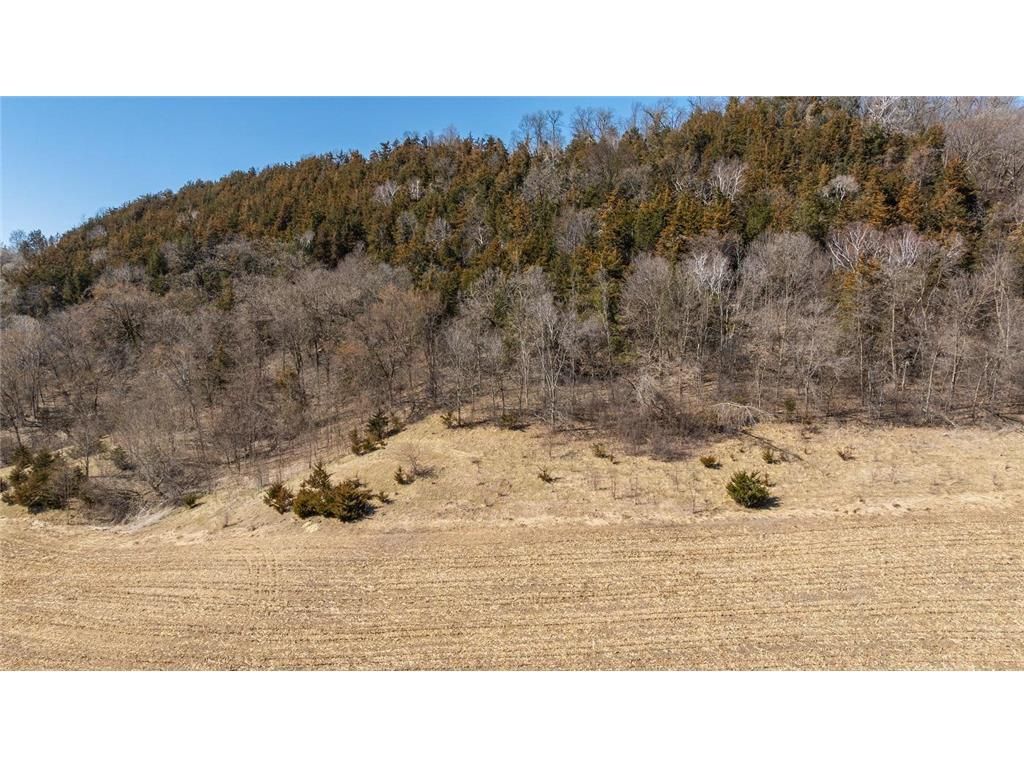 Photo of TBD Semling LANE, Fountain City, WI 54629 (MLS # 7067425)