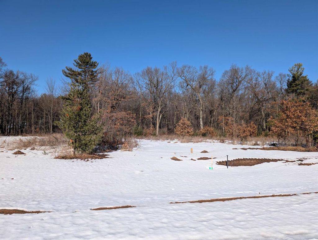 Photo of 580 Treehaven PLACE #Lot 94, Plover, WI 54467 (MLS # 22600625)