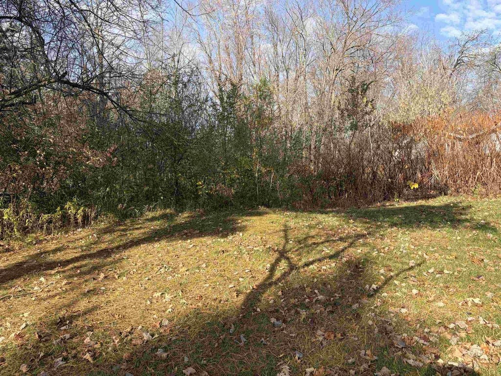 Photo of 704 Leon STREET, Rothschild, WI 54474 (MLS # 22605433)