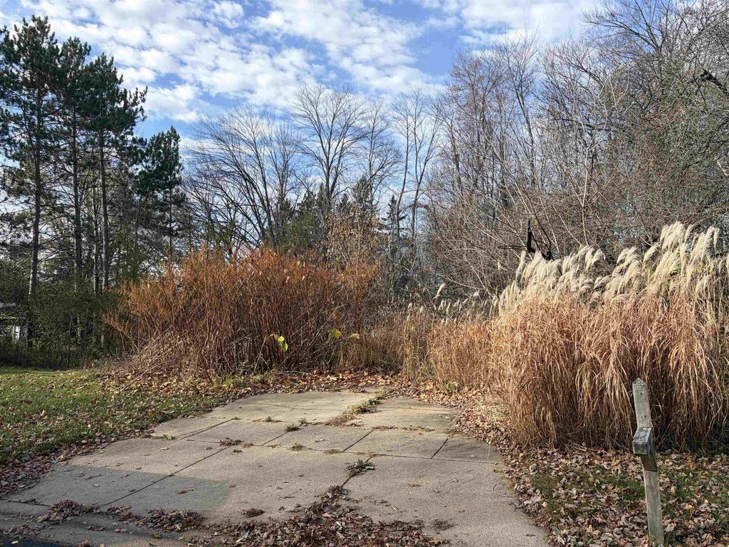 Photo of 704 Leon STREET, Rothschild, WI 54474 (MLS # 22605433)