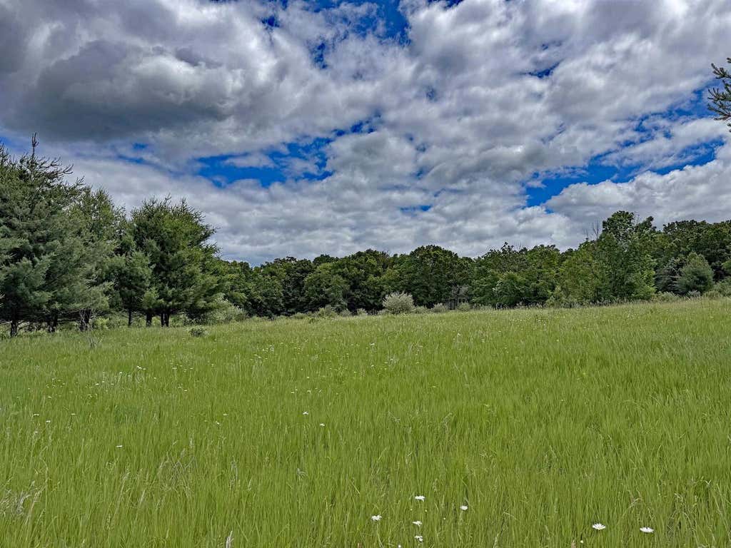 Photo of Lots 263-264 Echo COURT, La Valle, WI 53941 (MLS # 2026237)