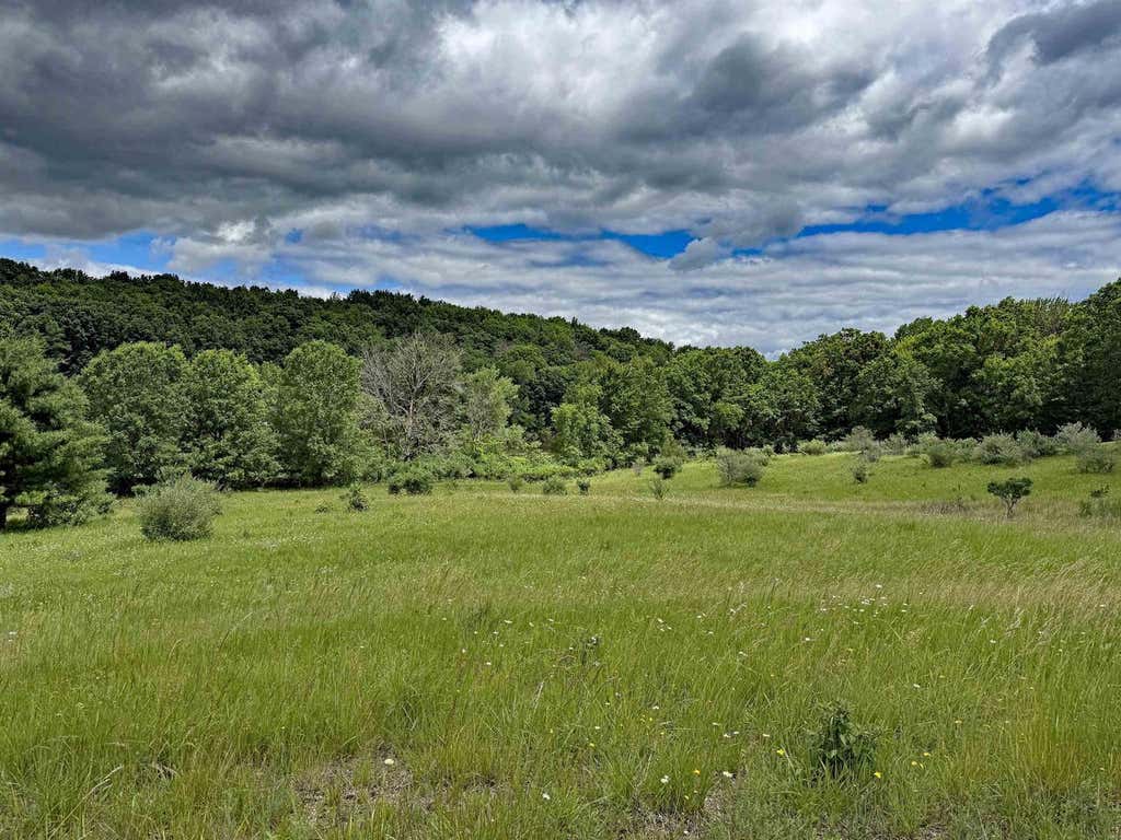 Photo of Lots 263-264 Echo COURT, La Valle, WI 53941 (MLS # 2026237)