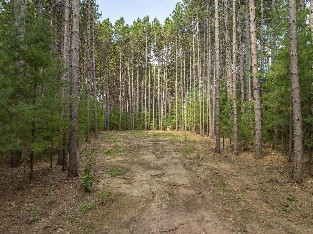 Photo of 3673 Scotch COURT, Wisconsin Dells, WI 53965 (MLS # 2031604)