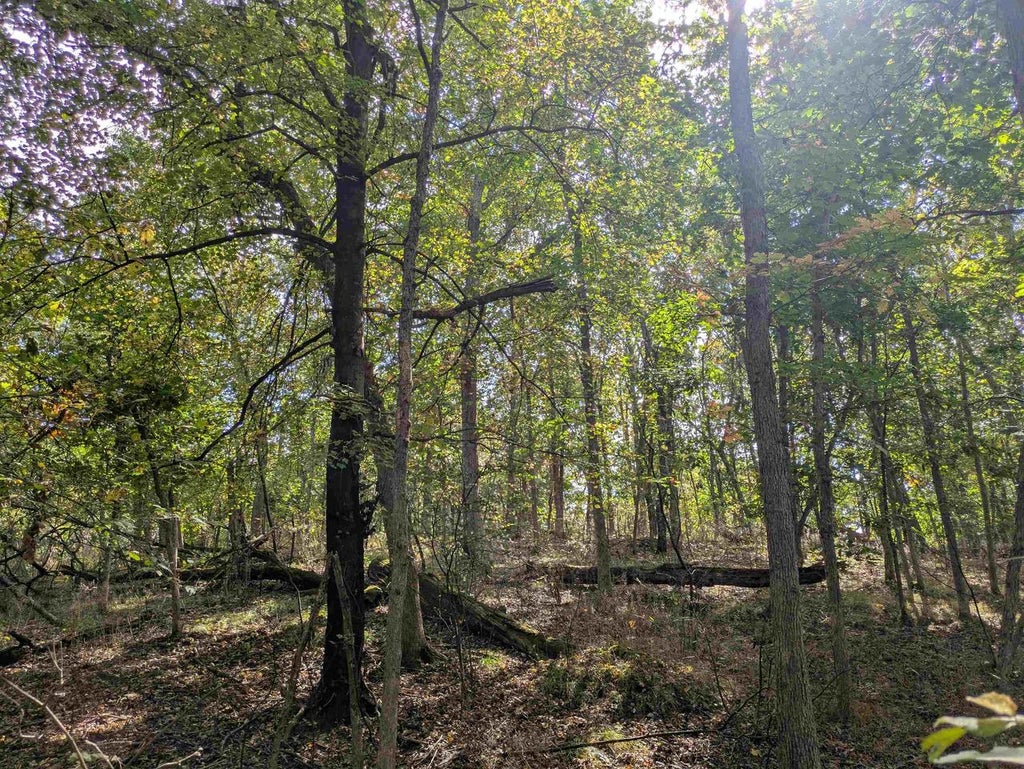 Photo of 0 Ember COURT, Oxford, WI 53952 (MLS # 2034072)