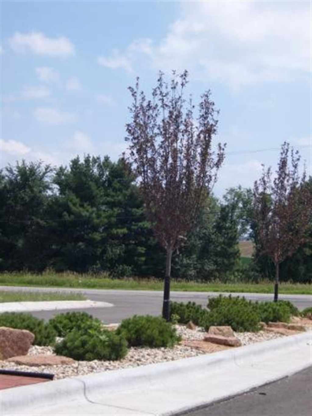 Photo of 3175 Lymans RUN, Sun Prairie, WI 53590 (MLS # 2018406)