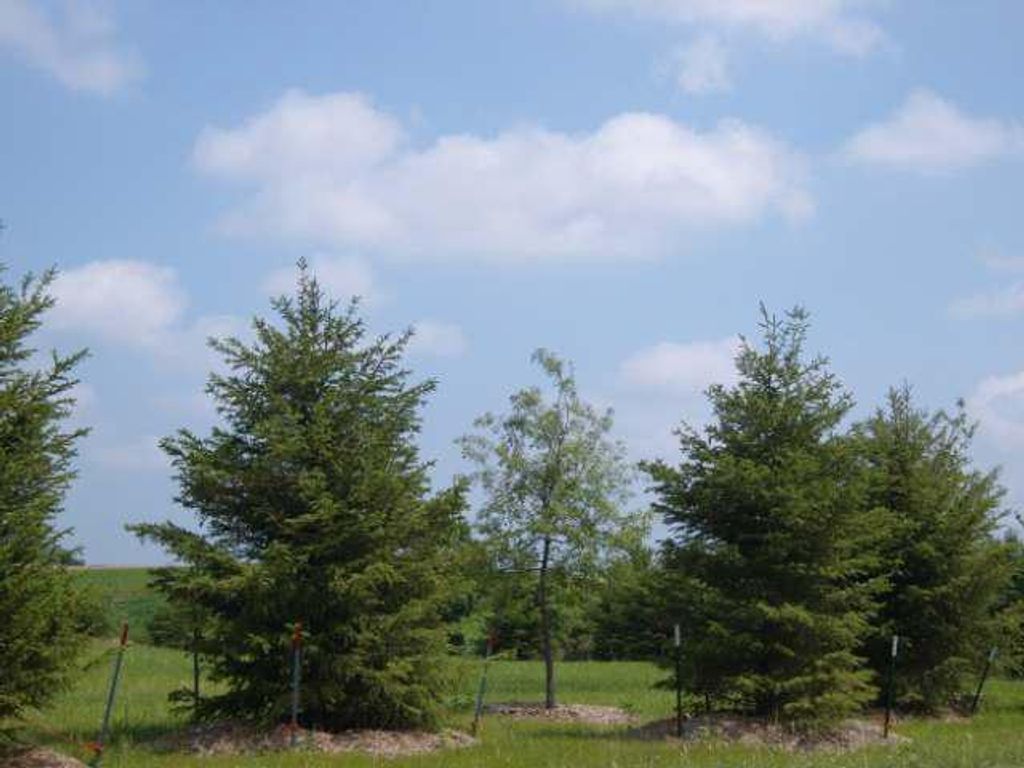 Photo of 3175 Lymans RUN, Sun Prairie, WI 53590 (MLS # 2018406)