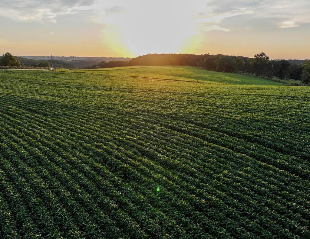 Photo of 40.22ï¿½ Acres Stump Ridge Road, Viroqua, WI 54665 (MLS # 2030880)