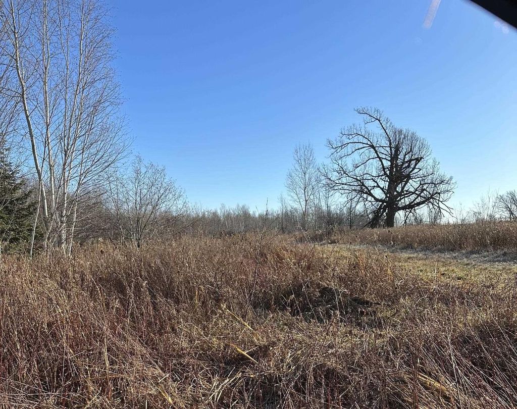 Photo of 20 Acres on Cloverland, Conrath, WI 54731 (MLS # 22601088)