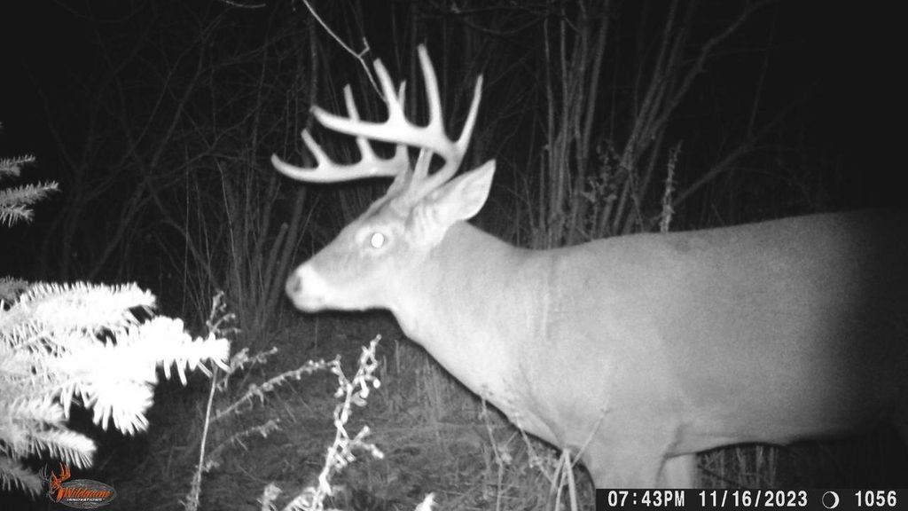 Photo of 20 Acres on Cloverland, Conrath, WI 54731 (MLS # 22601088)