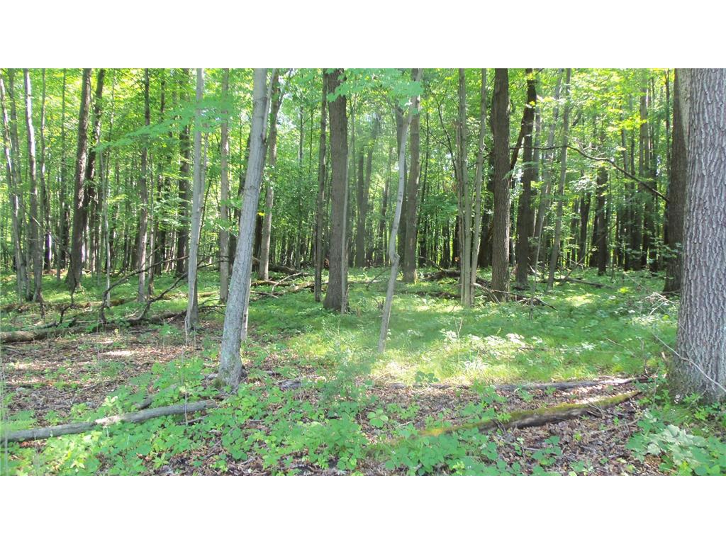 Photo of Lot 6 Howard Johnson Trl, Siren, WI 54872 (MLS # 7116265)