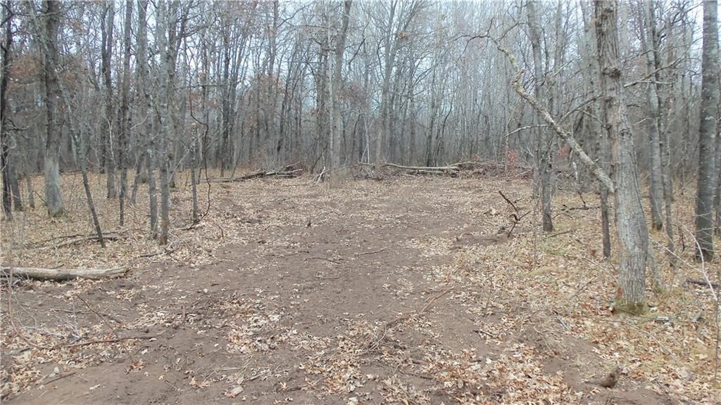 Photo of Lot 7 Canute Creek Trl, Grantsburg, WI 54840 (MLS # 1597812)