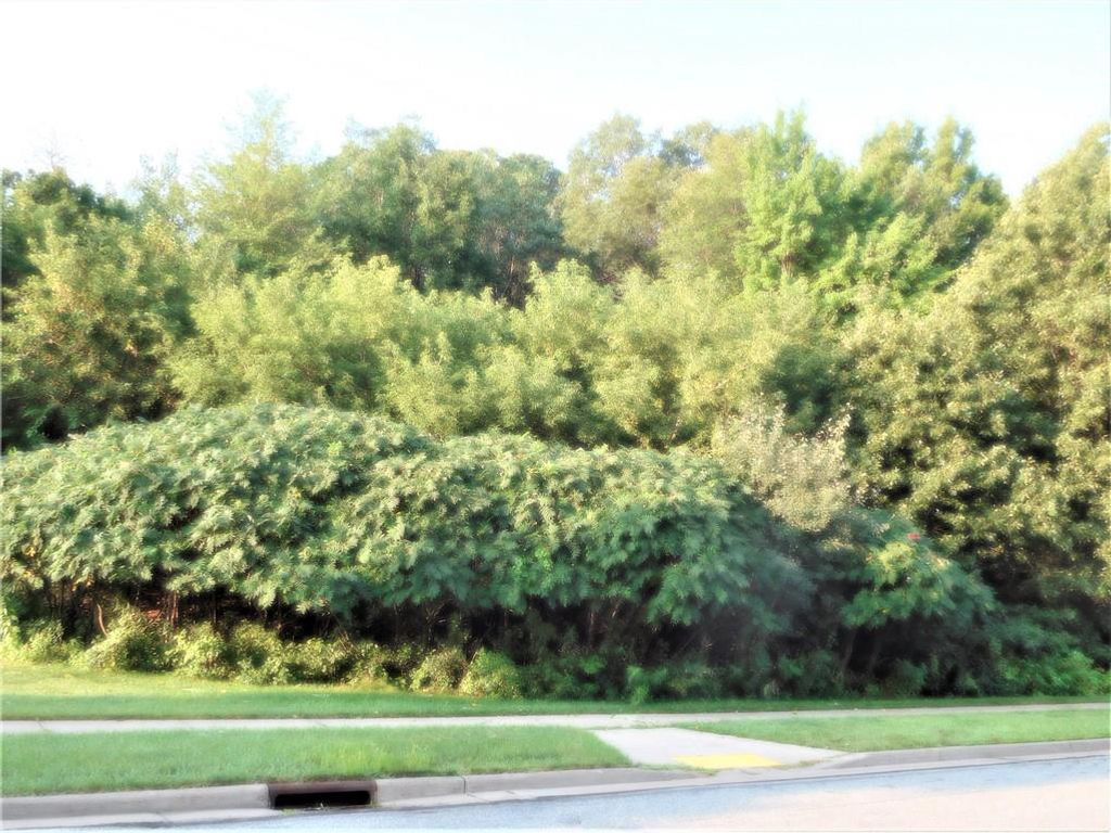 Photo of 4219 Lasalle STREET, Eau Claire, WI 54703 (MLS # 1557776)