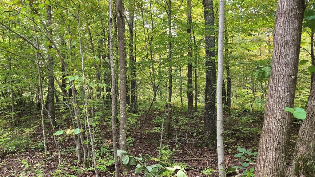 Photo of Lot 2 Lakeview Ln, Exeland, WI 54835 (MLS # 1600675)