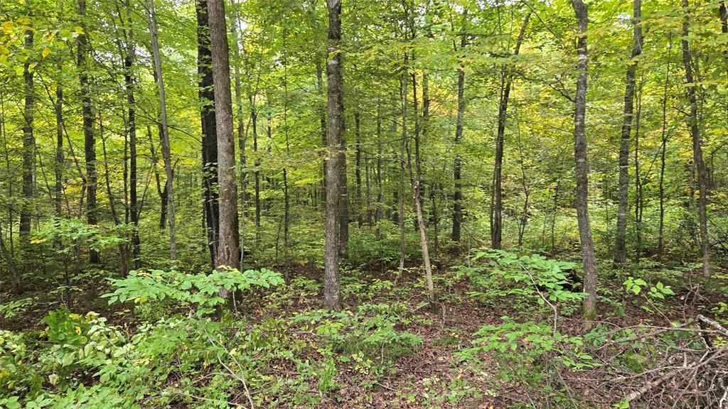 Photo of Lot 2 Lakeview Ln, Exeland, WI 54835 (MLS # 1600675)