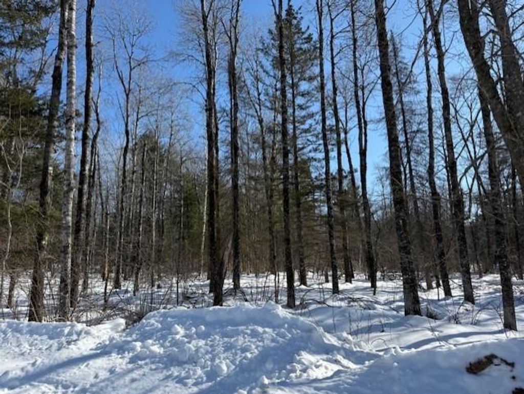 Photo of Lot 108 Willow COURT, Cable, WI 54821 (MLS # 1598395)