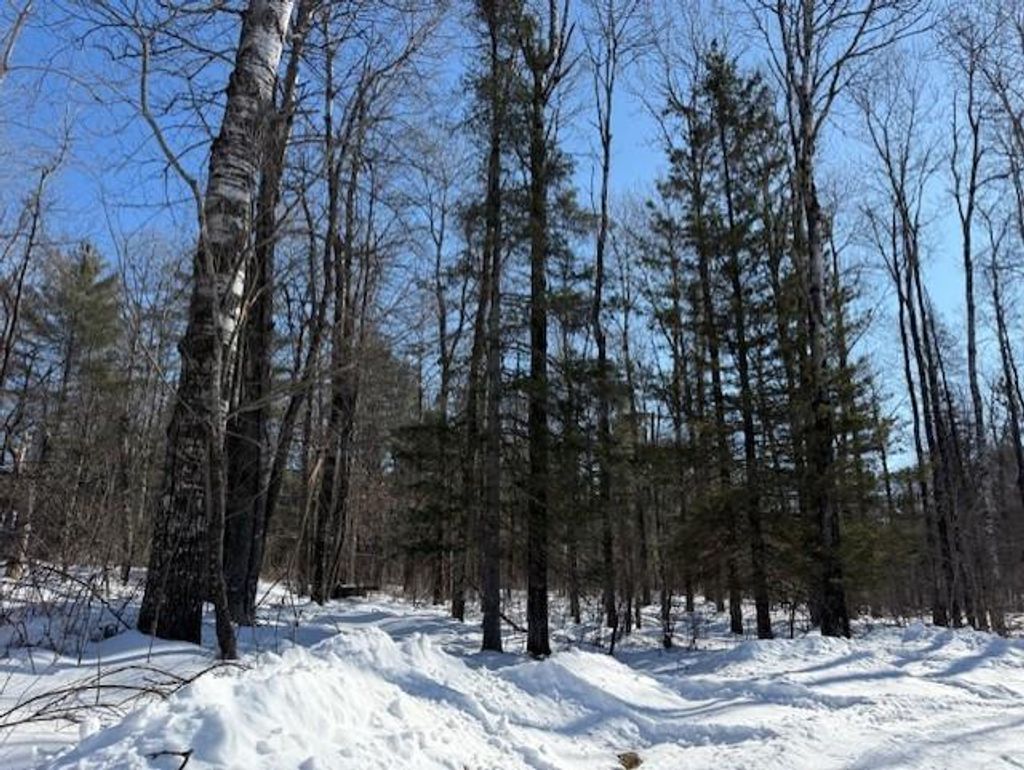Photo of Lot 108 Willow COURT, Cable, WI 54821 (MLS # 1598395)
