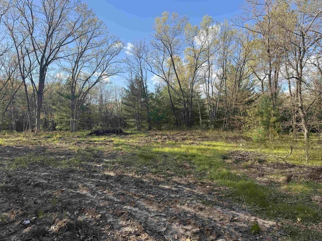 Photo of W1336 Arbor Lake N DRIVE, Lyndon Station, WI 53944 (MLS # 2023323)