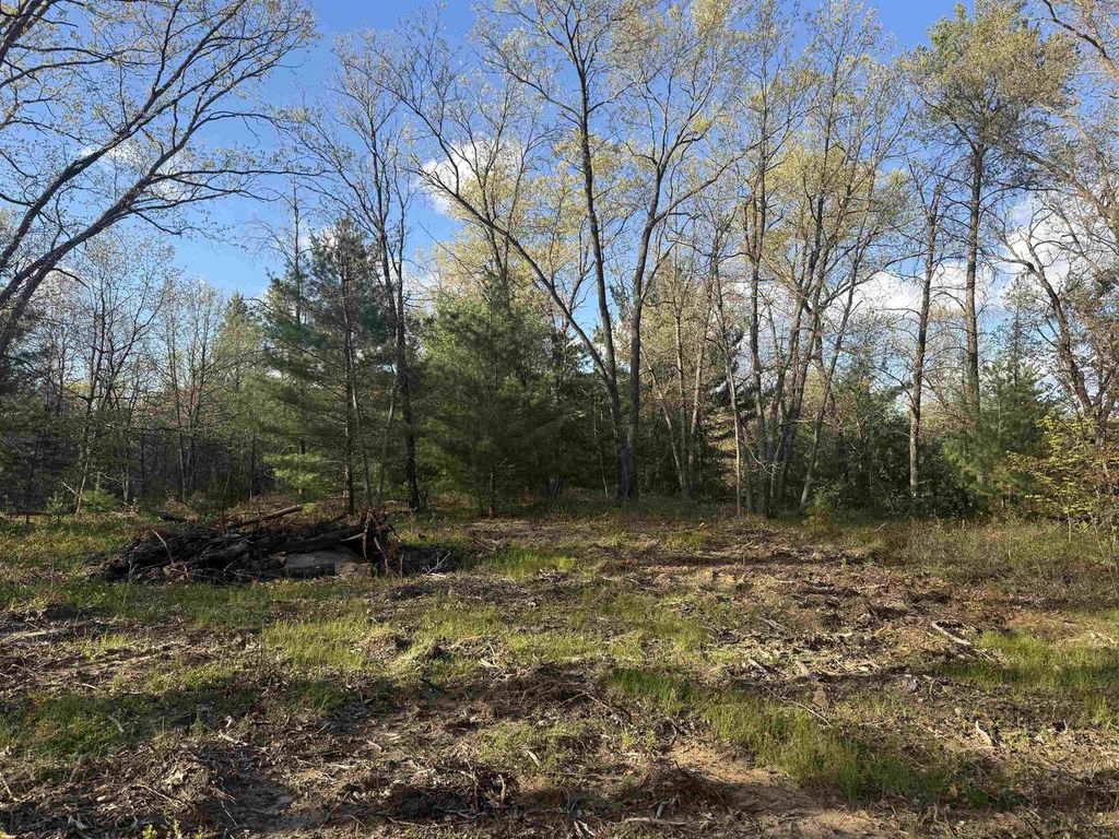 Photo of W1336 Arbor Lake N DRIVE, Lyndon Station, WI 53944 (MLS # 2023323)