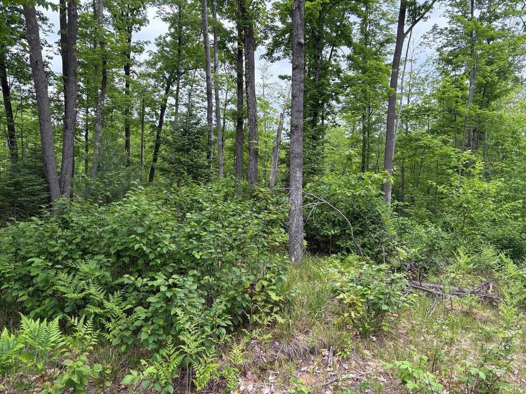 Photo of W15816 Fawn Acres ROAD, Goodman, WI 54125 (MLS # 50327007)
