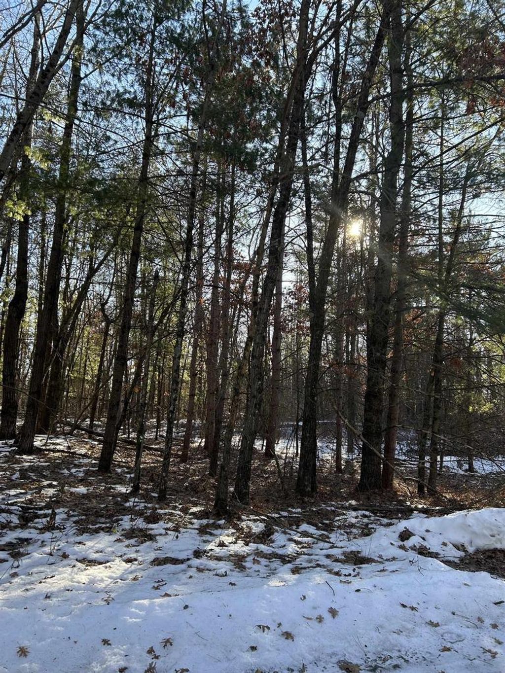 Photo of 0 Franklin ROAD, Tomah, WI 54660 (MLS # 2014917)