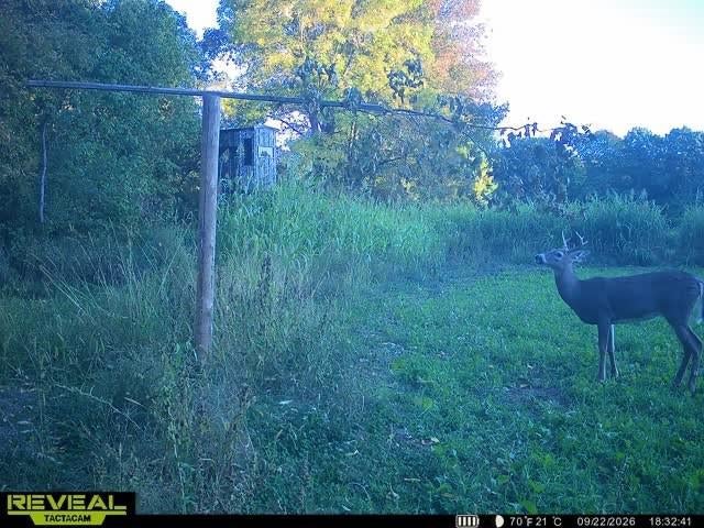 Photo of 965 340th AVE, Frederic, WI 54837 (MLS # 1605649)