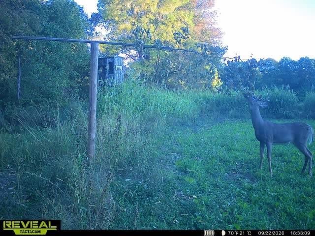Photo of 965 340th AVE, Frederic, WI 54837 (MLS # 1605649)