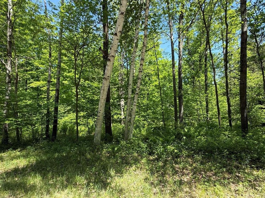 Photo of Wilderness TRAIL, Green Bay, WI 54313 (MLS # 50326241)