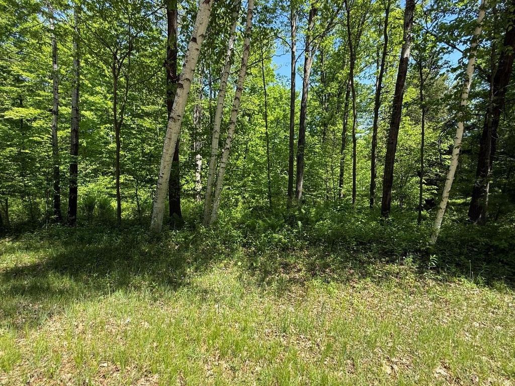 Photo of Wilderness TRAIL, Green Bay, WI 54313 (MLS # 50326241)