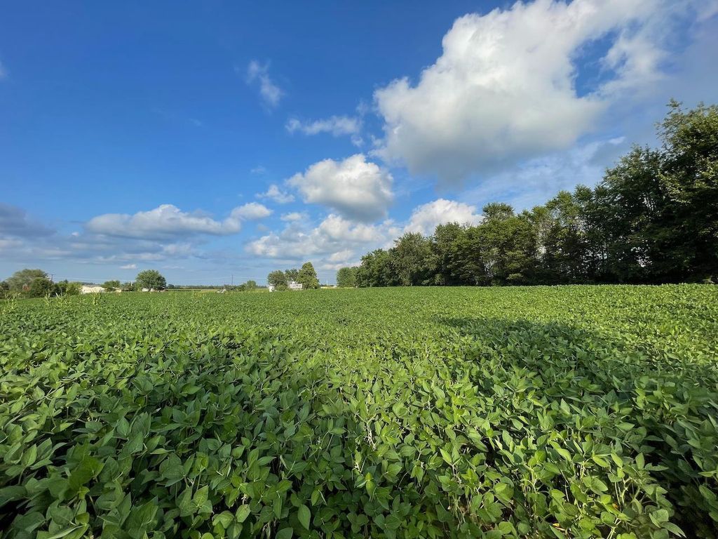 Photo of Lot 9 Sunset Trace, Tomah, WI 54660 (MLS # 2021343)