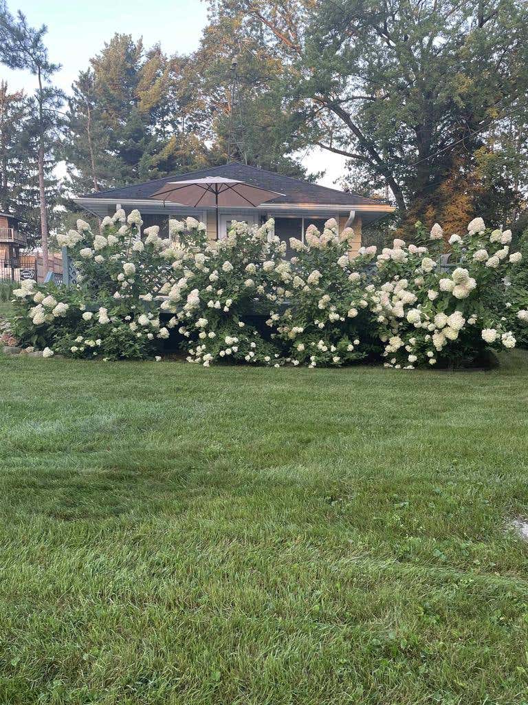 Photo of N4231 Lakeview DRIVE, Markesan, WI 53946 (MLS # 2027342)