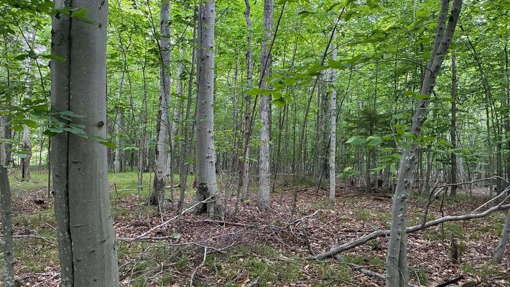 Photo of Airport ROAD, Washington Island, WI 54246 (MLS # 50330486)