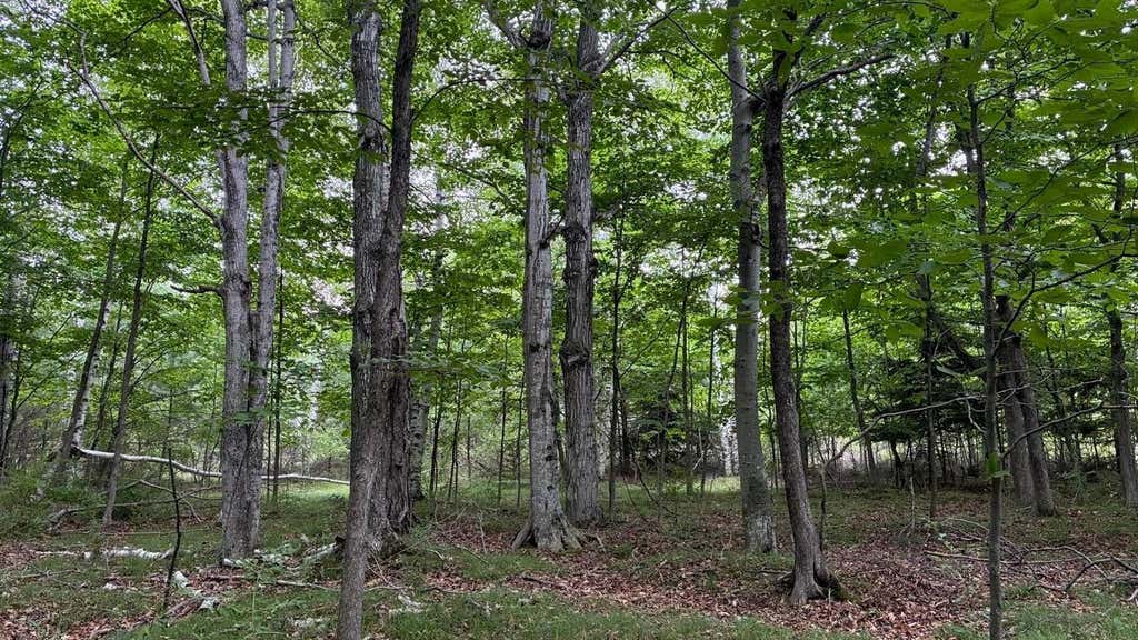 Photo of Airport ROAD, Washington Island, WI 54246 (MLS # 50330486)
