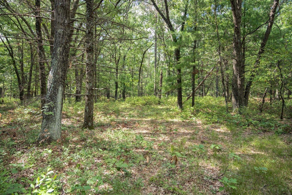 Photo of 16.36 acres 7th AVENUE, New Lisbon, WI 53950 (MLS # 2031776)