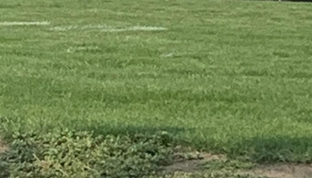 Photo of 2313 Stephanie CIRCLE, Prairie Du Chien, WI 53821 (MLS # 2019600)