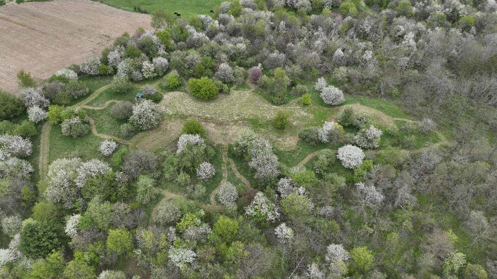 Photo of 13704 County Hwy I, Viola, WI 54664 (MLS # 2026228)