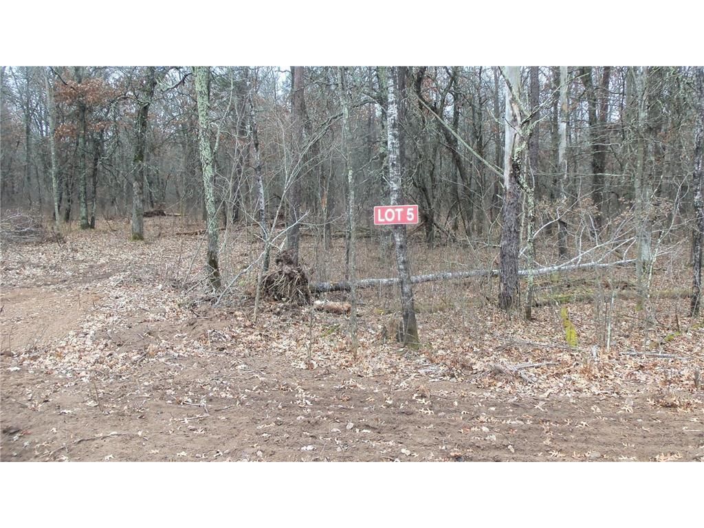 Photo of Lot 5 Cnute Creek Trl, Grantsburg, WI 54840 (MLS # 7003859)
