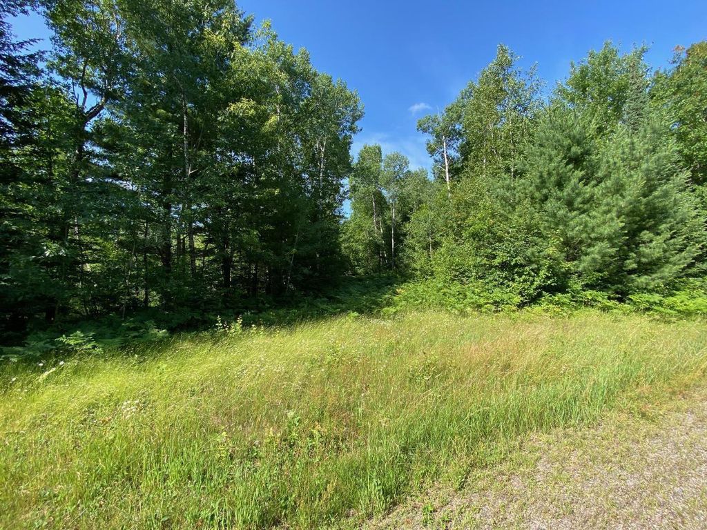 Photo of Lot 2 Cambridge COURT, Rhinelander, WI 54501 (MLS # 2017941)