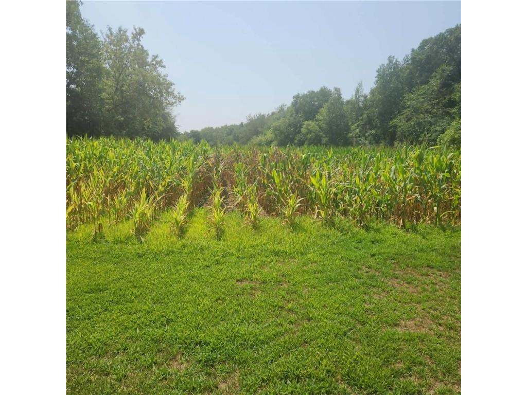 Photo of xxx 220th Ave Lot 2, New Richmond, WI 54017 (MLS # 7120820)
