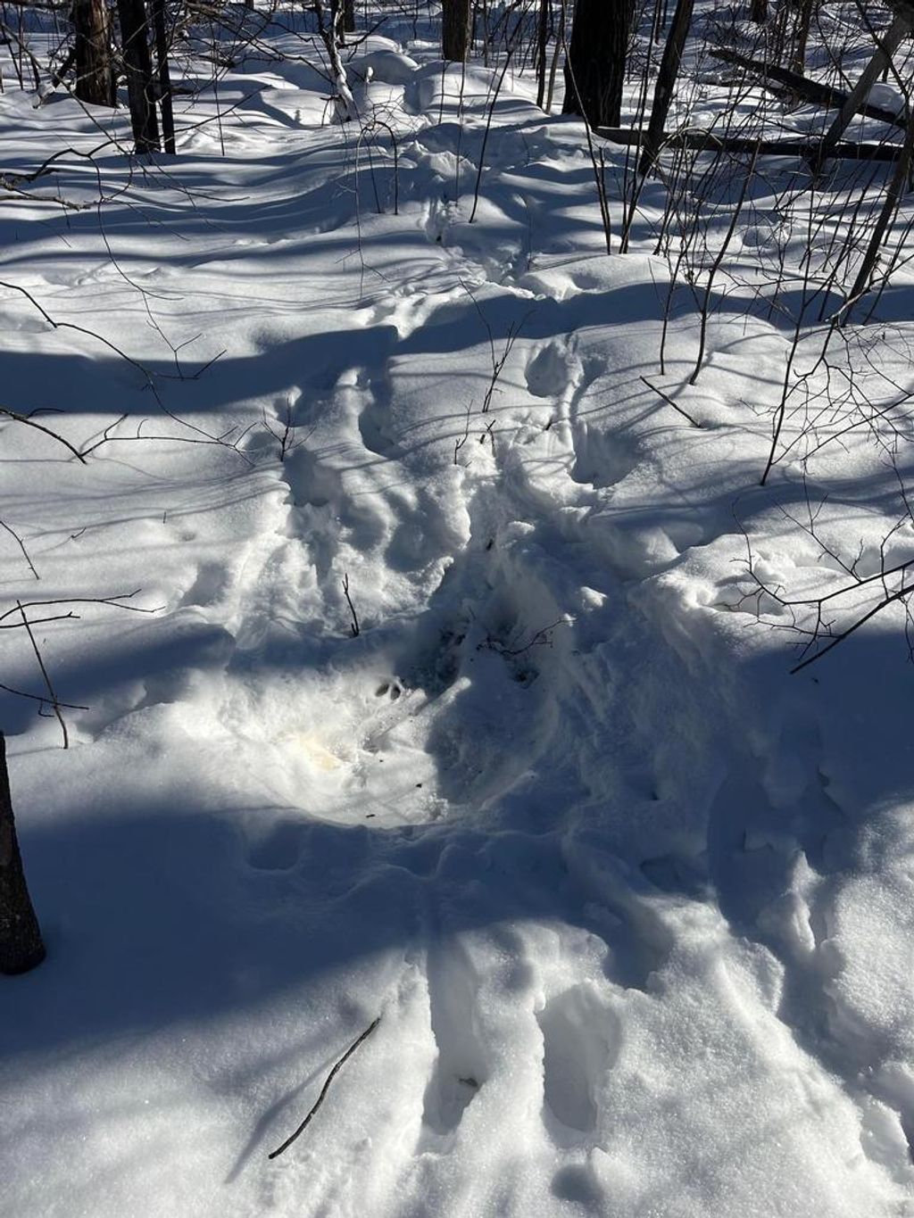 Photo of Reppert ROAD, Exeland, WI 54835 (MLS # 50320716)