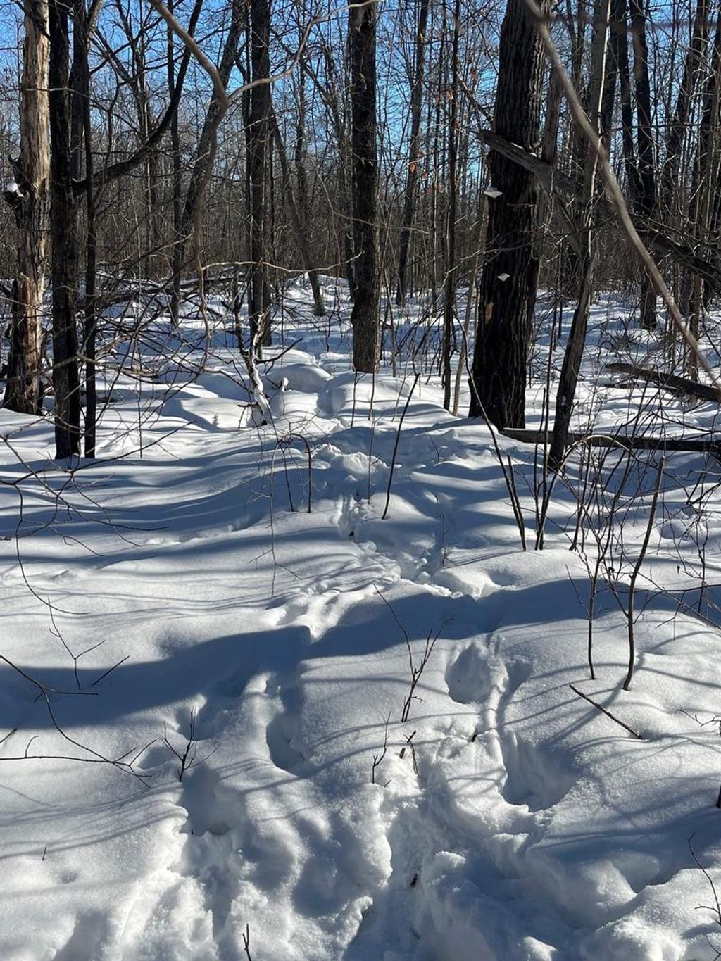 Photo of Reppert ROAD, Exeland, WI 54835 (MLS # 50320716)