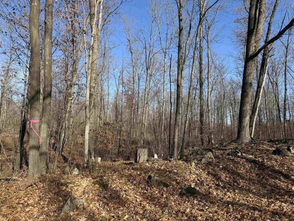 Photo of Lot 1 Birch DRIVE, Mosinee, WI 54455 (MLS # 22600088)