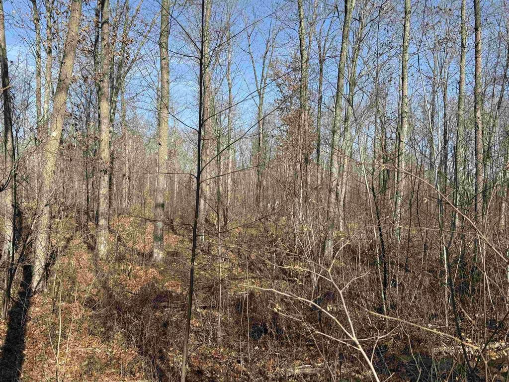 Photo of Lot 1 Birch DRIVE, Mosinee, WI 54455 (MLS # 22600088)