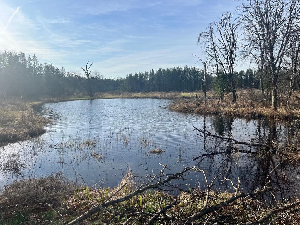 Photo of 1193 Beaver AVENUE, Nekoosa, WI 54457 (MLS # 2027967)