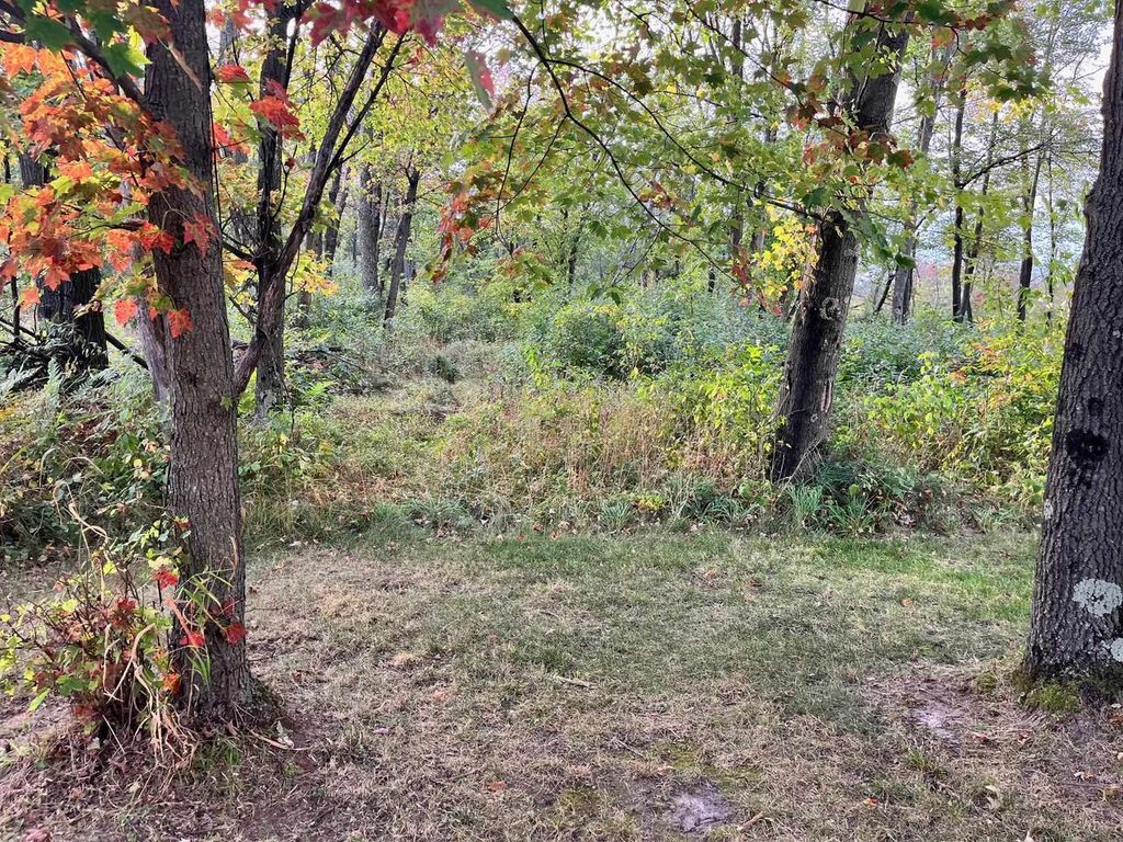 Photo of 1193 Beaver AVENUE, Nekoosa, WI 54457 (MLS # 2027967)