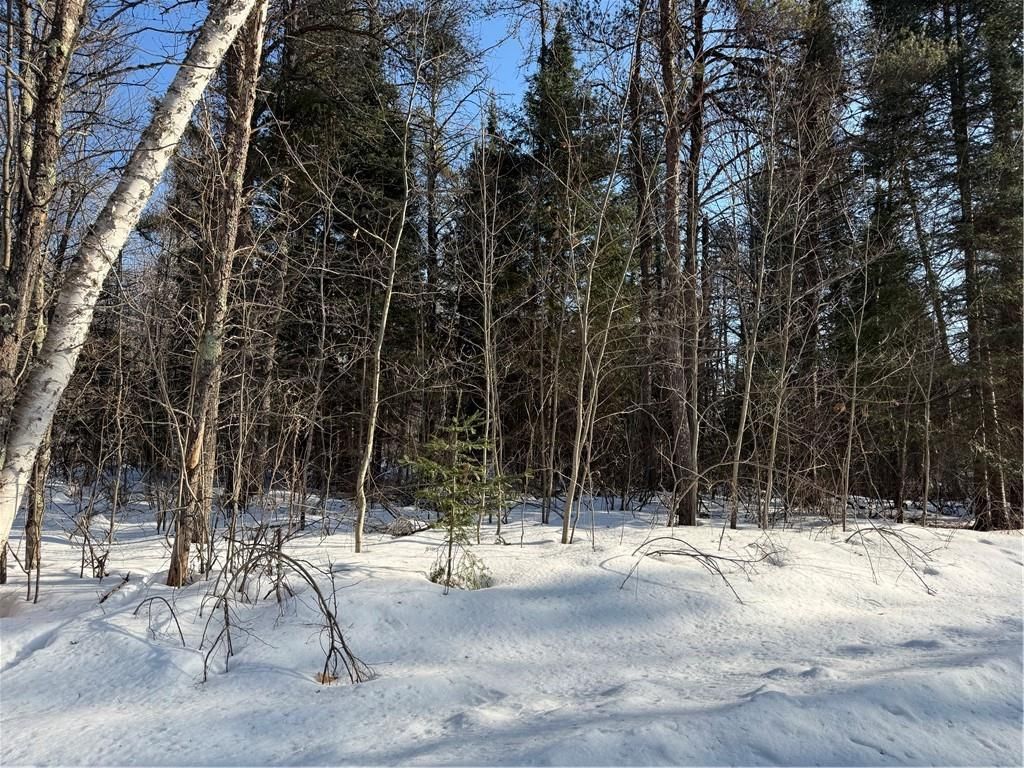 Photo of Lot 66 Hickory COURT, Cable, WI 54821 (MLS # 1598857)