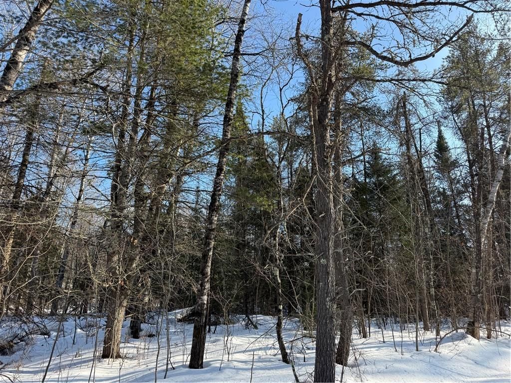 Photo of Lot 66 Hickory COURT, Cable, WI 54821 (MLS # 1598857)