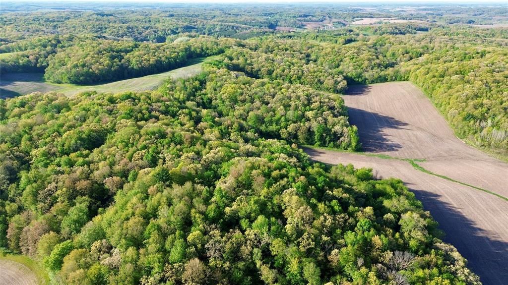 Photo of 0 County Rd OO, Strum, WI 54770 (MLS # 1601363)